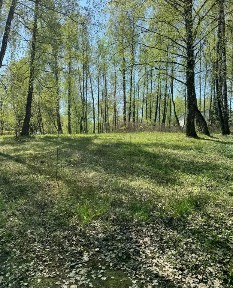 Продается участок, 11 сот.
