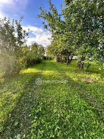 Брянская область, Брянский район, Снежское с/пос, Толмачево село, Дачное СДТ, 166