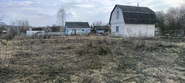 Брянская область, Брянский район, Нетьинское с/пос, Лесная сказка СДТ, 424