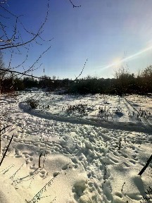 Брянская область, Брянск, р-н Советский, Софьи Перовской пер., 11Б