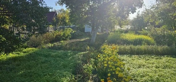 Продается 1-этажный дом, 22,8 м²