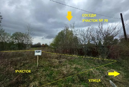 Брянская область, Брянский район, Снежское с/пос, Толмачево село, Реклама СДТ