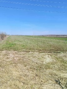 Продается участок, 55 сот.
