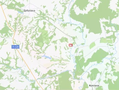 Брянская область, Дубровский район, Рековичское с/пос, Голубея деревня, ул. Березовая, 4