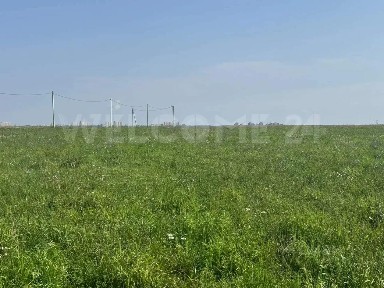 Продается участок, 10 сот.