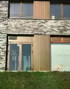Сдается помещение свободного назначения, 100 м²