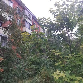 Сдается 1-комн. квартира, 30 м²