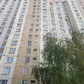 Сдается 2-комн. квартира, 53 м²
