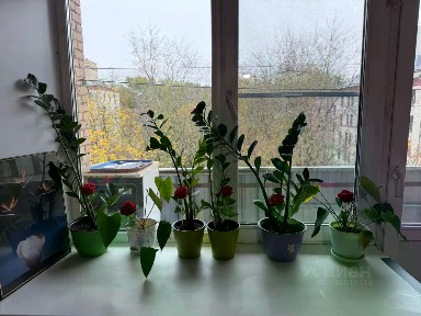 Сдается 1-комн. квартира, 36 м²