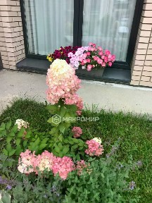 Продается 3-комн. квартира, 76,8 м²