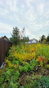 Продается участок, 6 сот.