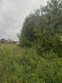 Продается участок, 15 сот.