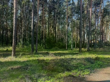 Продается участок, 6 сот.