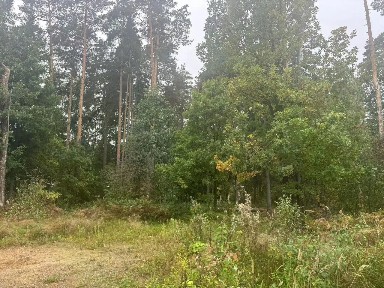 Продается участок, 9 сот.