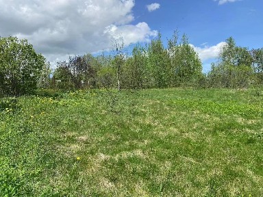 Московская область, Сергиево-Посадский городской округ, Парфеново село, Заря садовое товарищество