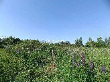 Московская область, Луховицы, Диана СНТ, 271