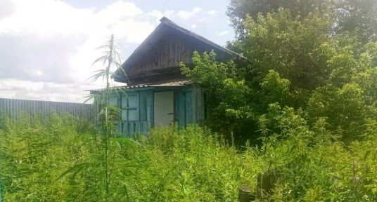 Продается здание, 26,2 м²