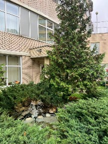 Сдается 2-комн. квартира, 51 м²
