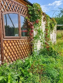 Продается участок, 15,5 сот.
