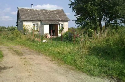 Псковская область, Порховский муниципальный округ, Печково деревня