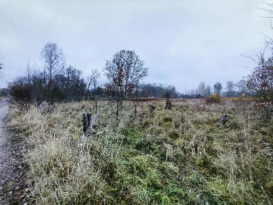 Продается участок, 60 сот.