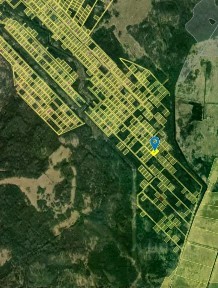 Псковская область, Псковский муниципальный округ, Дубрава СНТ, 139