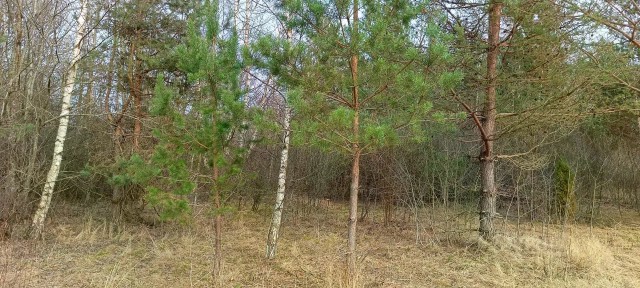 Продается участок, 16 сот.