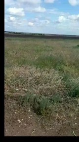 Продается участок, 10 сот.