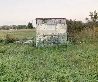 Новосибирская область, Новосибирский район, Верх-Тулинский сельсовет, Романтик СНТ, 188