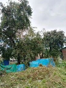 Продается 0,29 часть 1-этажного дома, 37 м²