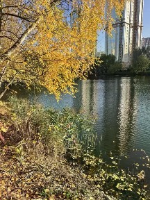 Москва, ЗАО, р-н Тропарево-Никулино, просп. Вернадского, 92