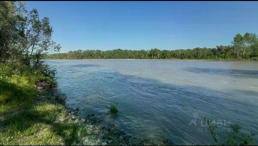 Алтай респ., Майминский район, Подгорное село