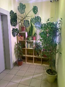 Продается 1-комн. квартира, 65,3 м²