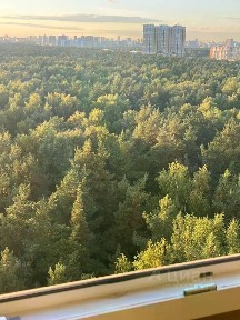 Сдается 1-комн. квартира, 42 м²