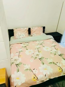 Сдается студия, 24,8 м²