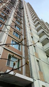 Сдается 1-комн. квартира, 40 м²