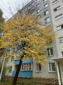Продается 2-комн. квартира, 44,5 м²