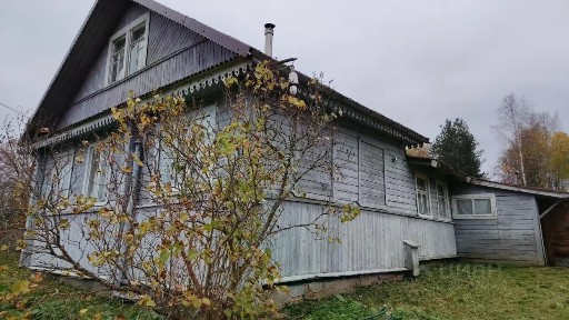 Новгородская область, Крестецкий муниципальный округ, Борок деревня, 4