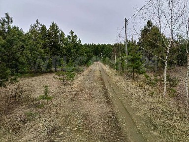 Владимирская область, Киржачский муниципальный округ, Ратьково деревня, ул. Владимирская, 5