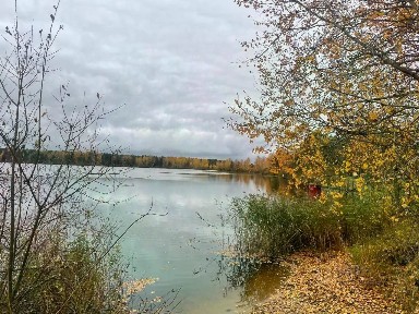 Московская область, Клин городской округ, Комлево деревня, 34