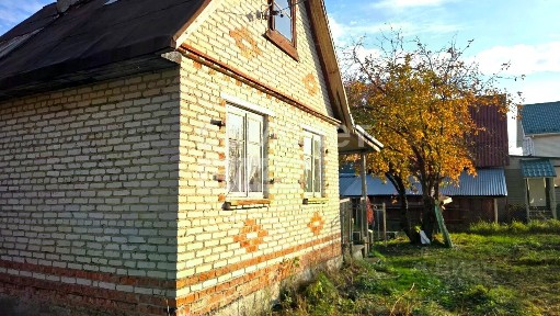 Московская область, Шатура муниципальный округ, Строитель садовое товарищество