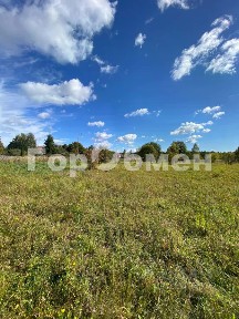 Московская область, Серпухов городской округ, Всходы деревня