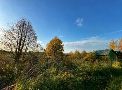Московская область, Талдомский городской округ, Новоникольское село