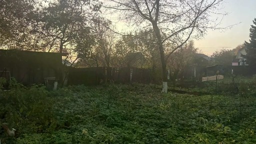 Московская область, Жуковский, Глушица СНТ