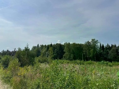 Московская область, Дмитровский муниципальный округ, Морозовский Уезд коттеджный поселок