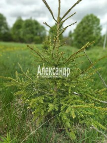 Продается участок, 7 сот.