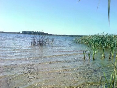 Ленинградская область, Лужский район, Скребловское с/пос, Наволок деревня