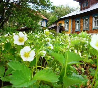 Продается 1-этажный дом, 78 м²