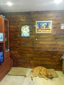 Продается 1-комн. квартира, 48 м²