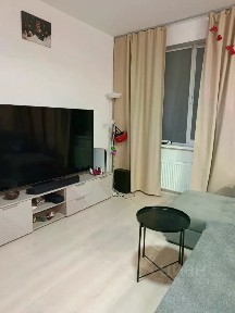 Сдается студия, 33,6 м²